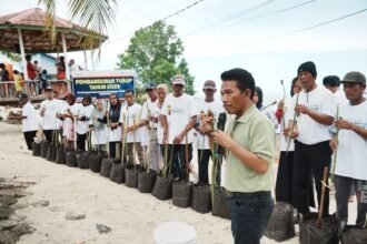 Pemberdayaan Pesisir, Pupuk Kaltim Bekali Warga Gusung Keterampilan Budidaya Mangrove