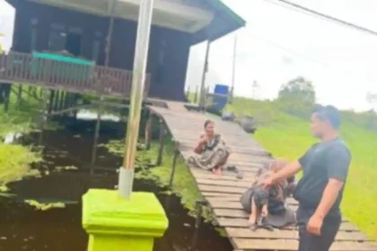 TKP balita tiga tahun yang dinyatakan meninggal dunia setelah tenggelam di parit kemarin, Rabu (4/2/2026) di Kecamatan Bengalon, Kutim