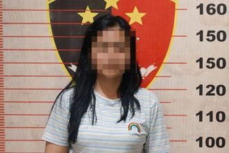 IRT ancam mantan suami dengan sajam. (istimewa)