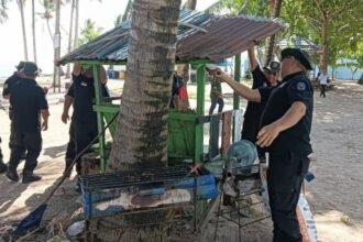 lapak liar yang di bongkar saat penertiban di beras basah Bontang. (istimewa)