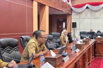Ahli Madya Penata Perizinan, DPMPTSP Kota Bontang, Febtri Manik