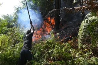 kebakaran lahan yang terjadi di daerah gunung bahagia balikpapan. (istimewa)