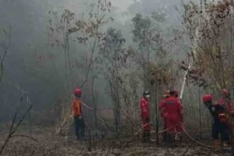 BPBD Kota Bontang bersama Tim Terpadu Tangani Karhutla di Nyerakat Kiri, 6,4 Hektare Lahan Terbakar. (istimewa)