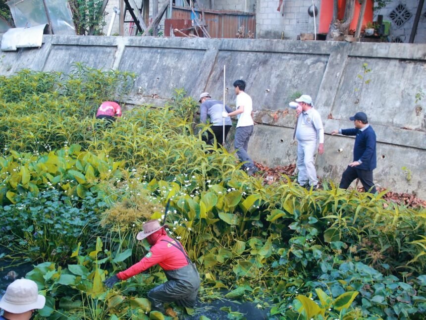 (Pemkot) Bontang menggelar aksi Jumat Bersih di sepanjang aliran sungai kawasan Jalan Mangga hingga Jalan Gambas, wilayah Kelurahan Satimpo, Bontang Selatan hingga Kelurahan Gunung Elai, Bontang Utara, Jumat (16/10) pagi. (istimewa)
