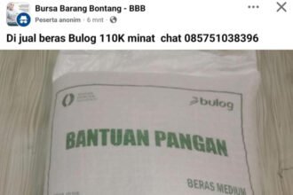 Salah satu postingan penjualan beras bantuan Bulog. (istimewa)