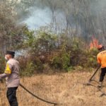 Petugas pemadam kebakaran berjibaku memadamkan karhutla. (Ist)