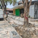 Salah satu pohon yang akan ditebang demi kelancaran infrastruktur yang tengah dikerjakan pemerintah di Jalan Awang Long Bontang Baru. (istimewa)