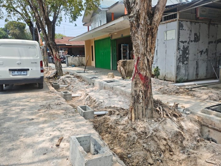 Salah satu pohon yang akan ditebang demi kelancaran infrastruktur yang tengah dikerjakan pemerintah di Jalan Awang Long Bontang Baru. (istimewa)